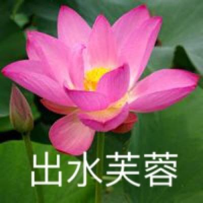 三只松鼠坚果大战手游下载